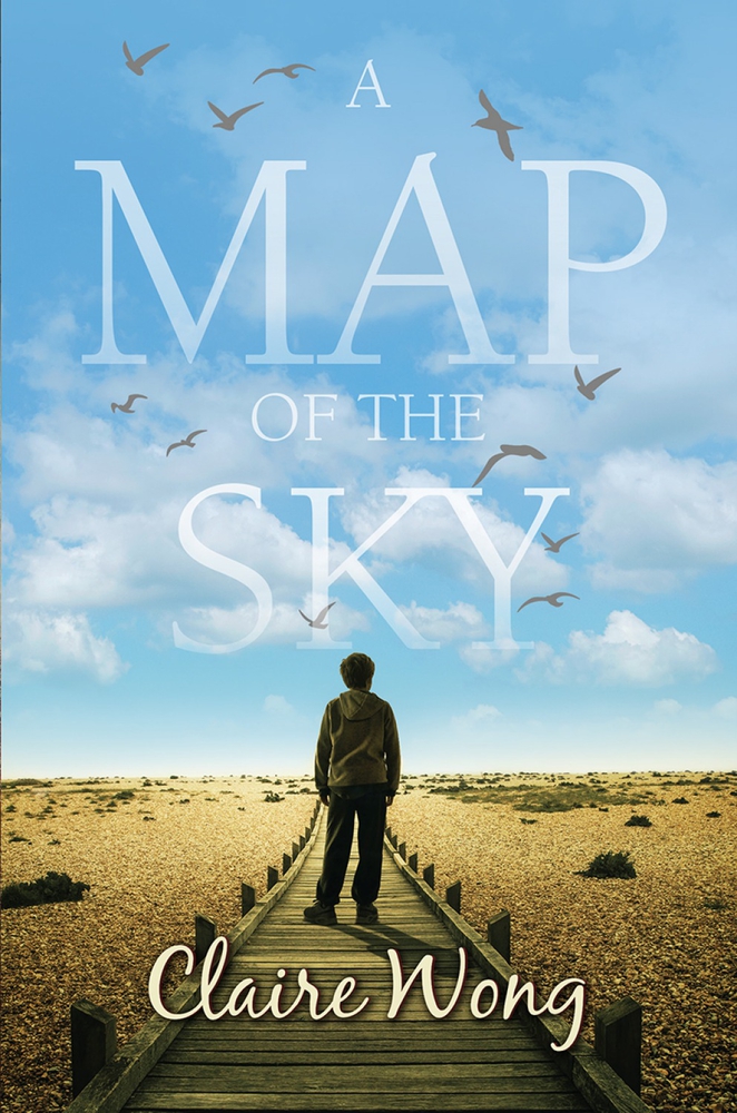 A Map of the Sky (Paperback)