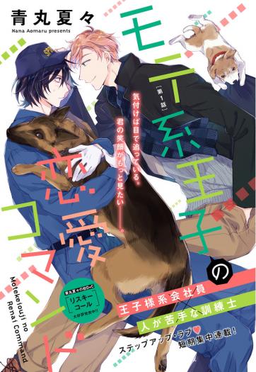 モテ系王子の恋愛コマンド [Motekei Ouji no Renai Command] (Paperback)
