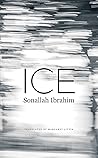 Ice by Sonallah Ibrahim