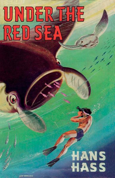 Under the Red Sea (Hardcover)
