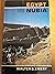 Egypt in Nubia