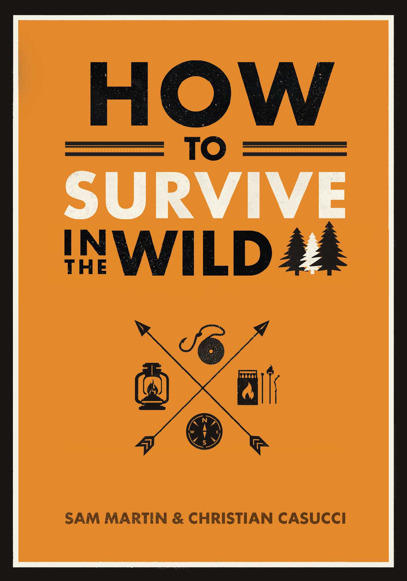 How to Survive in the Wild (Paperback)