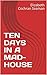 TEN DAYS IN A MAD-HOUSE