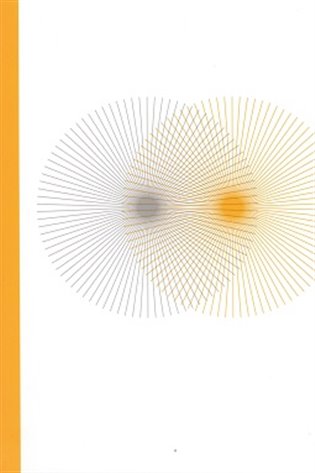Grey gold: české a slovenské umělkyně 65+/Czech and Slovak Female Artists over 65 (Paperback)