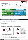 Digital Transformation Strategy: Business Presentation (FlevyPro Frameworks)