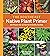 The Southeast Native Plant Primer by Larry Mellichamp