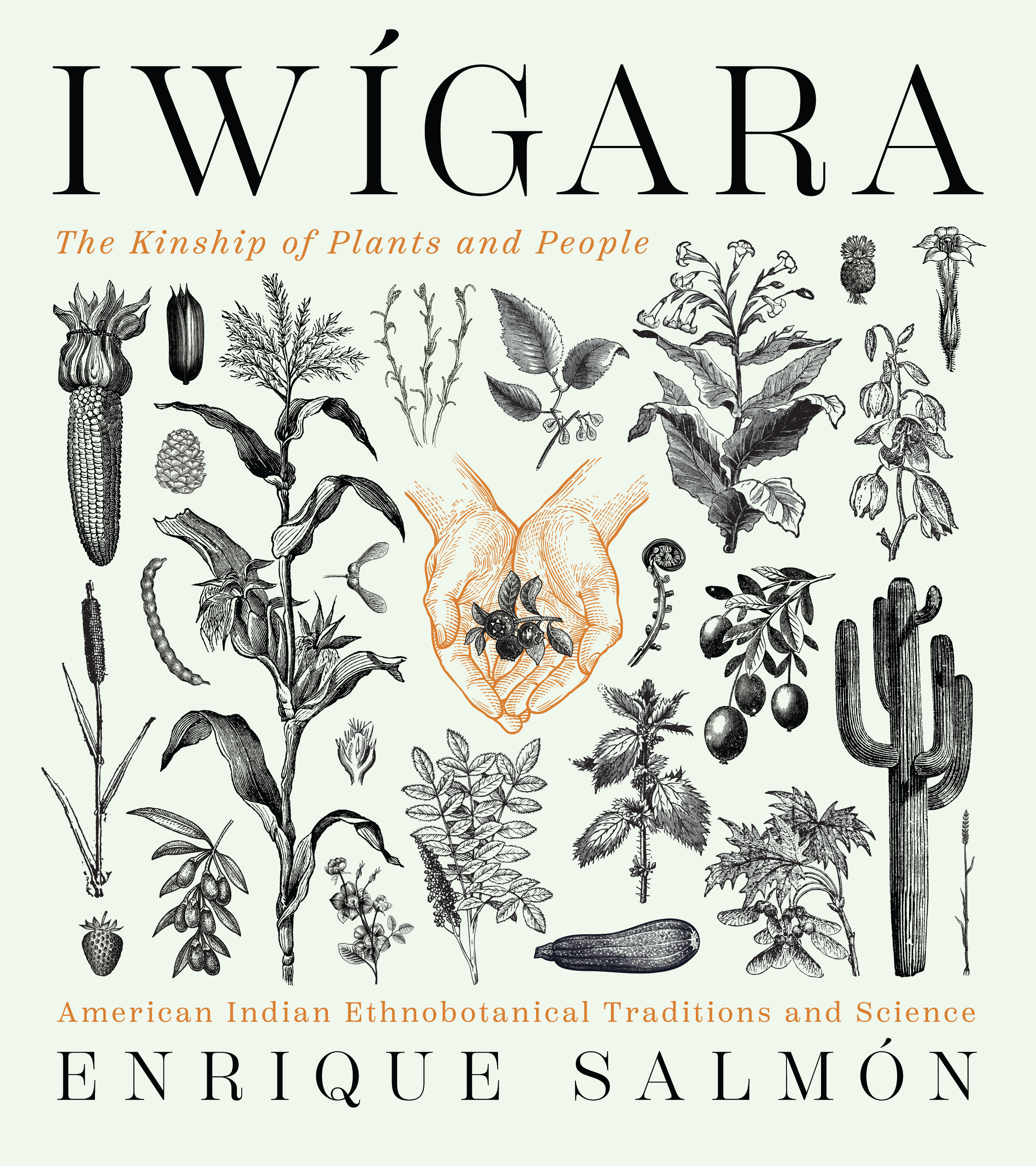 Iwigara: The Kinship of Plants and People: American Indian Ethnobotanical Traditions and Science (Hardcover)