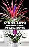 AIR PLANT: Step by Step Guide to Growing Tillandsia + Tips for Indoor Plants