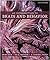 An Introduction to Brain an...