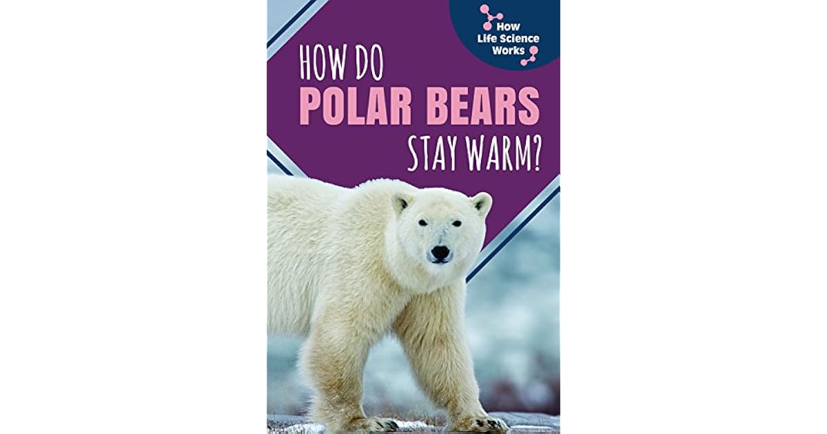 How Do Polar Bears Stay Warm? by Mark Ripley
