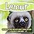 Lemur: Discover Pictures an...