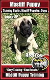 Mastiff Puppy Tra...