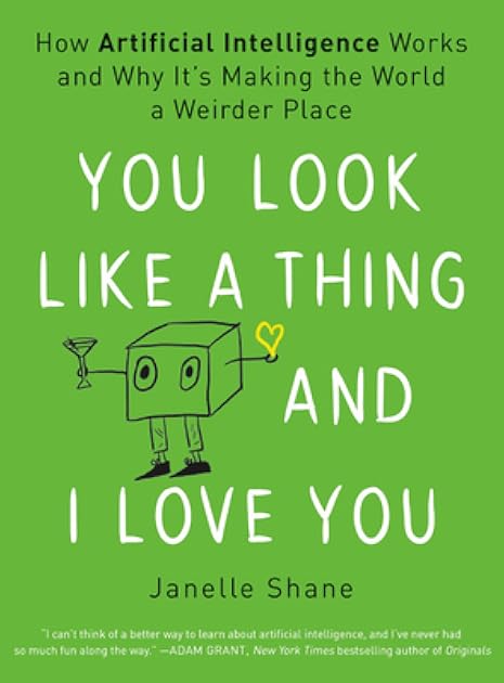 You Look Like a Thing and I Love You: How Artificial Intelligence Works and Why It's Making the World a Weirder Place