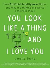 You Look Like a Thing and I Love You: How Artificial Intelligence Works and Why It's Making the World a Weirder Place
