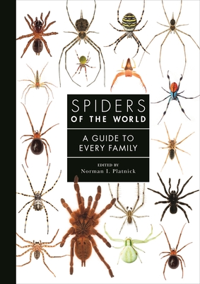 Spiders of the World: A Guide to Every Family (Hardcover)