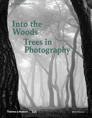 Into the Woods: Trees and Photography (Hardcover)