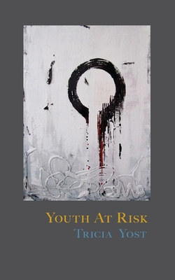 Youth at Risk (Paperback)