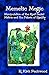 Memetic Magic by R. Kirk Packwood