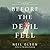 Before the Devil Fell: A Novel