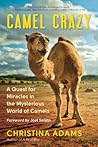 Camel Crazy: A Qu...