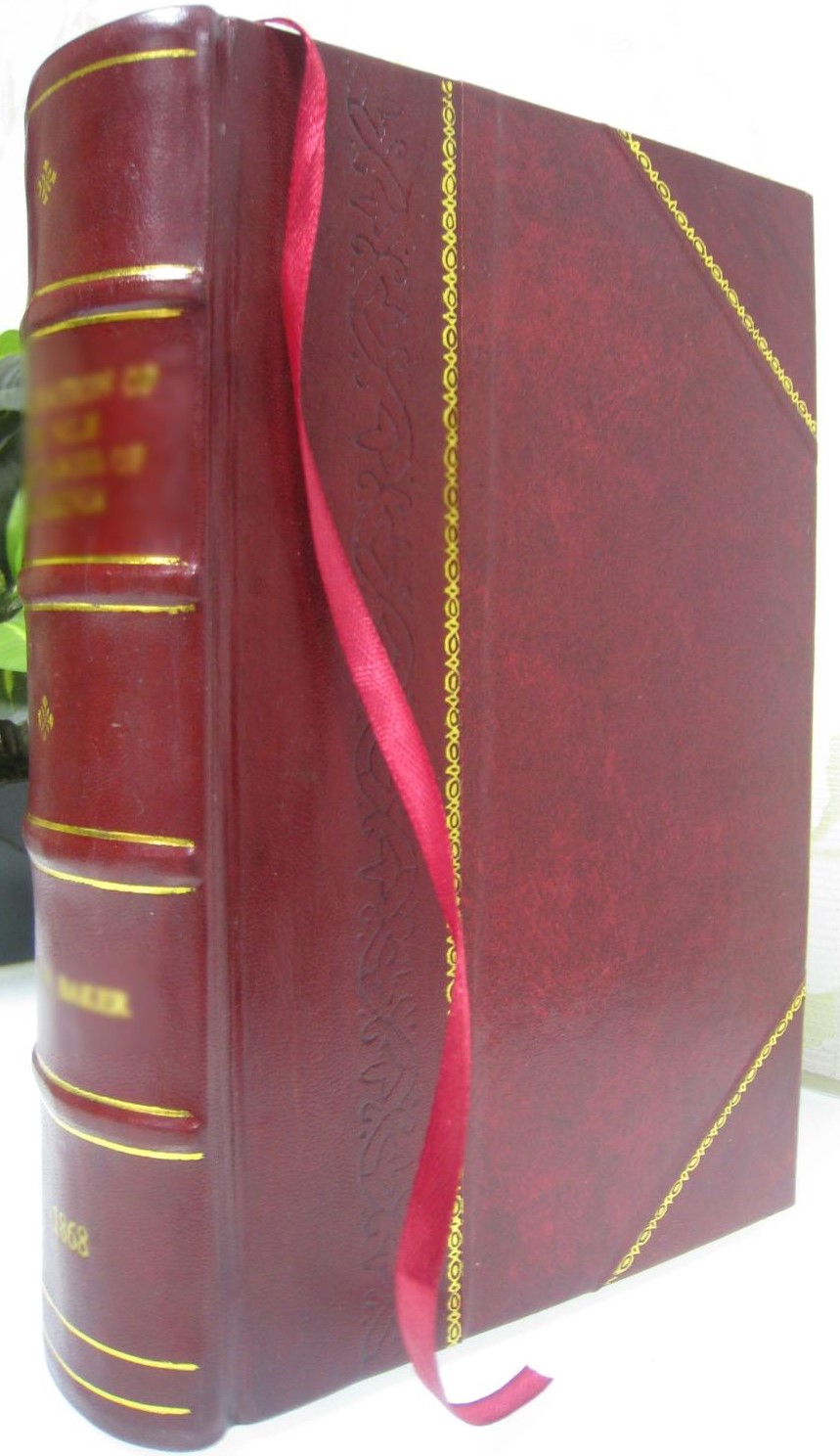 Junto al fuego (Hardcover)