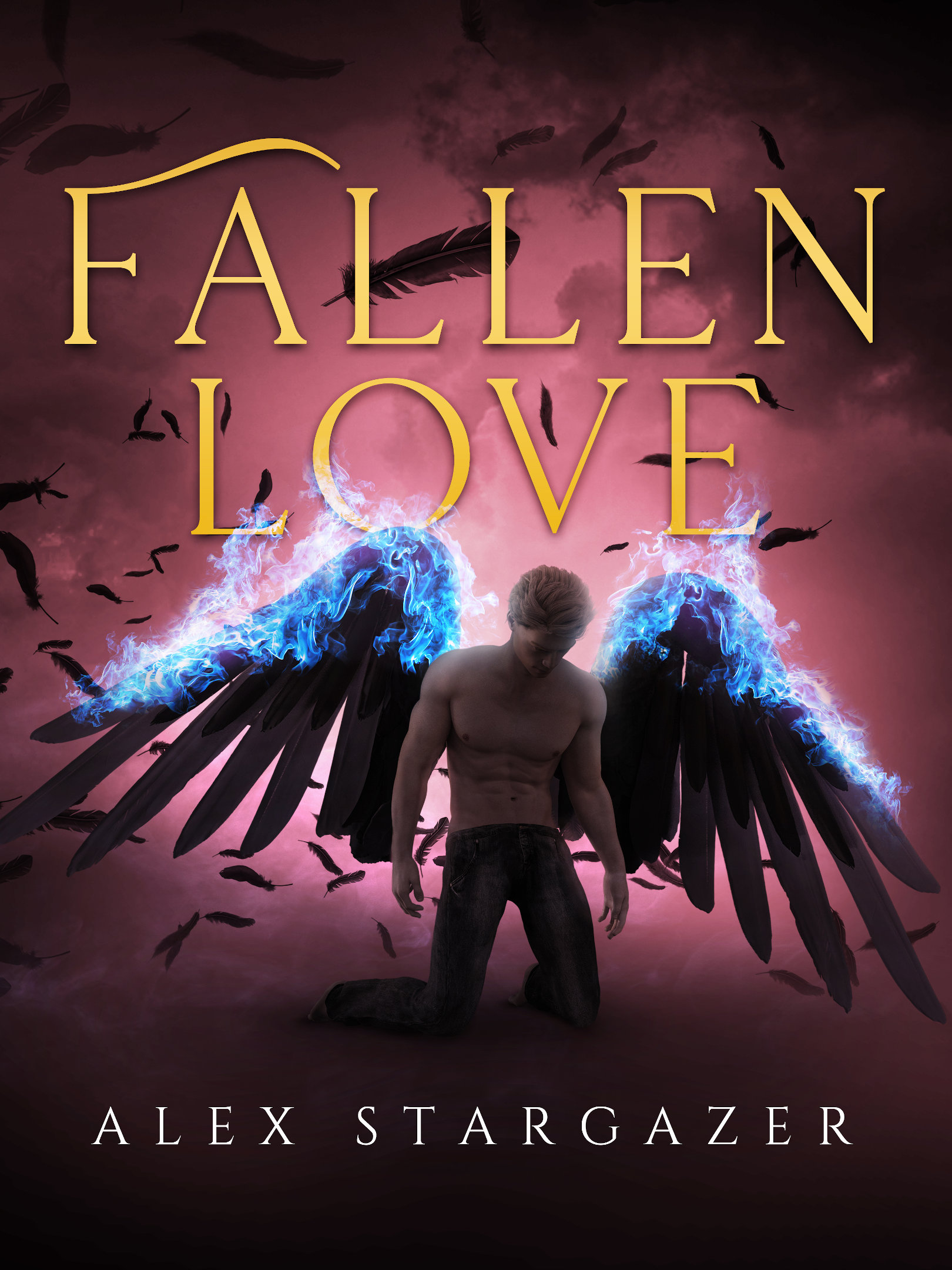 Fallen Love (Fallen, #1)