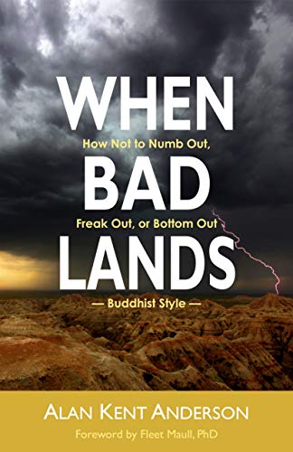 When Bad Lands: How Not to Numb Out, Freak Out, or Bottom Out – Buddhist Style (Kindle Edition)
