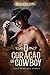 O Coração do Cowboy (Série ...