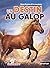 Un destin au galop by Madeleine Deny