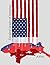 Divided States of America (The Galaxy Series #3) by Aithal