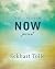 The Power of Now: Journal
