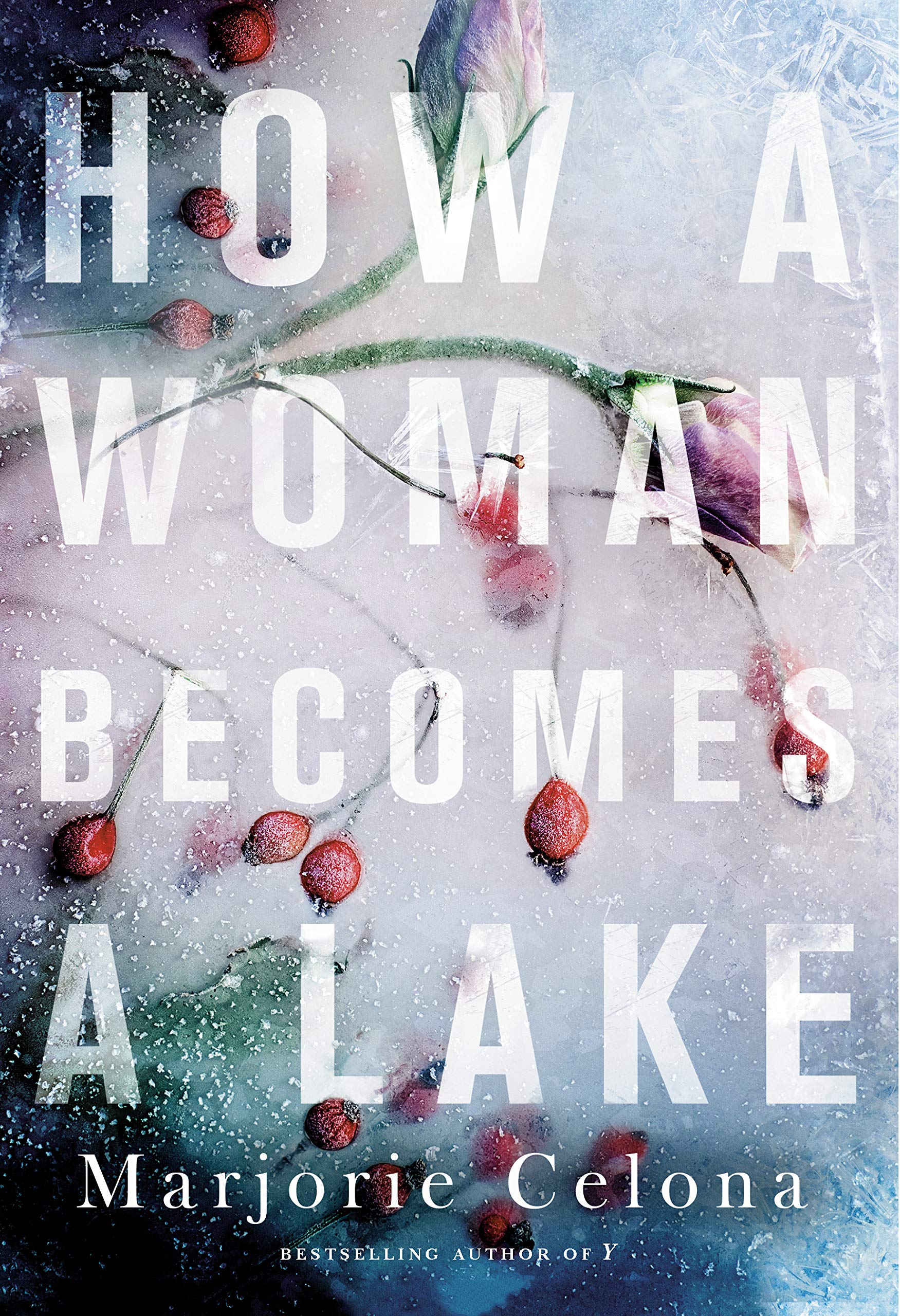 How a Woman Becomes a Lake (Paperback)