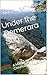 Under the Demerara Sun: A M...