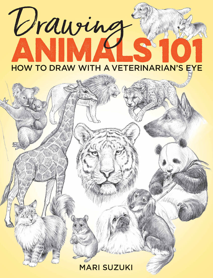 Drawing Animals 101: How to Draw with a Veterinarian's Eye (Paperback)