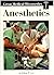 Anesthetics
