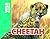 Cheetah (Wild World)