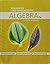Beginning and Intermediate Algebra + Enhanced WebAssign Developmental Math Access Code: A Guided Approach