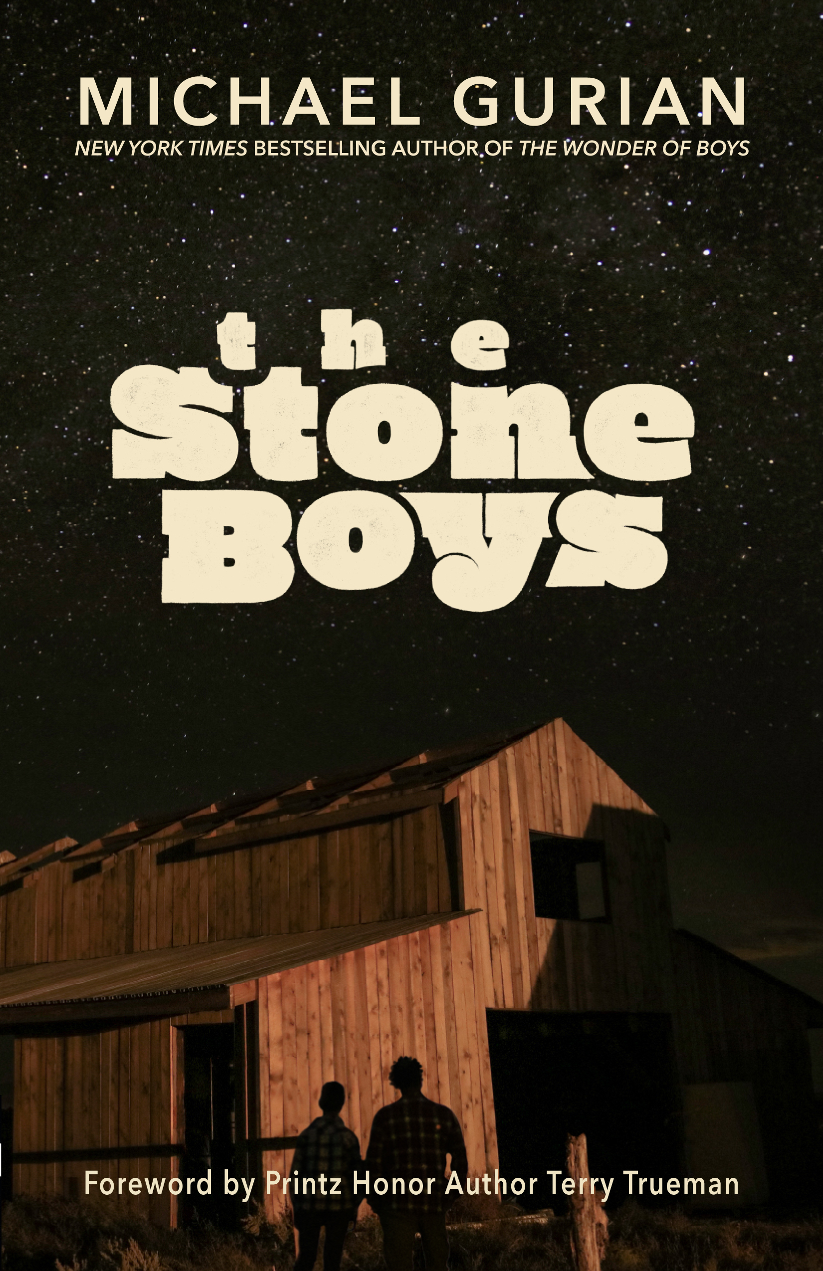 The Stone Boys (Paperback)