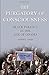 The Purgatory of Consciousness by Joseph L Jones