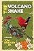 The Volcano Shake (The Noel...