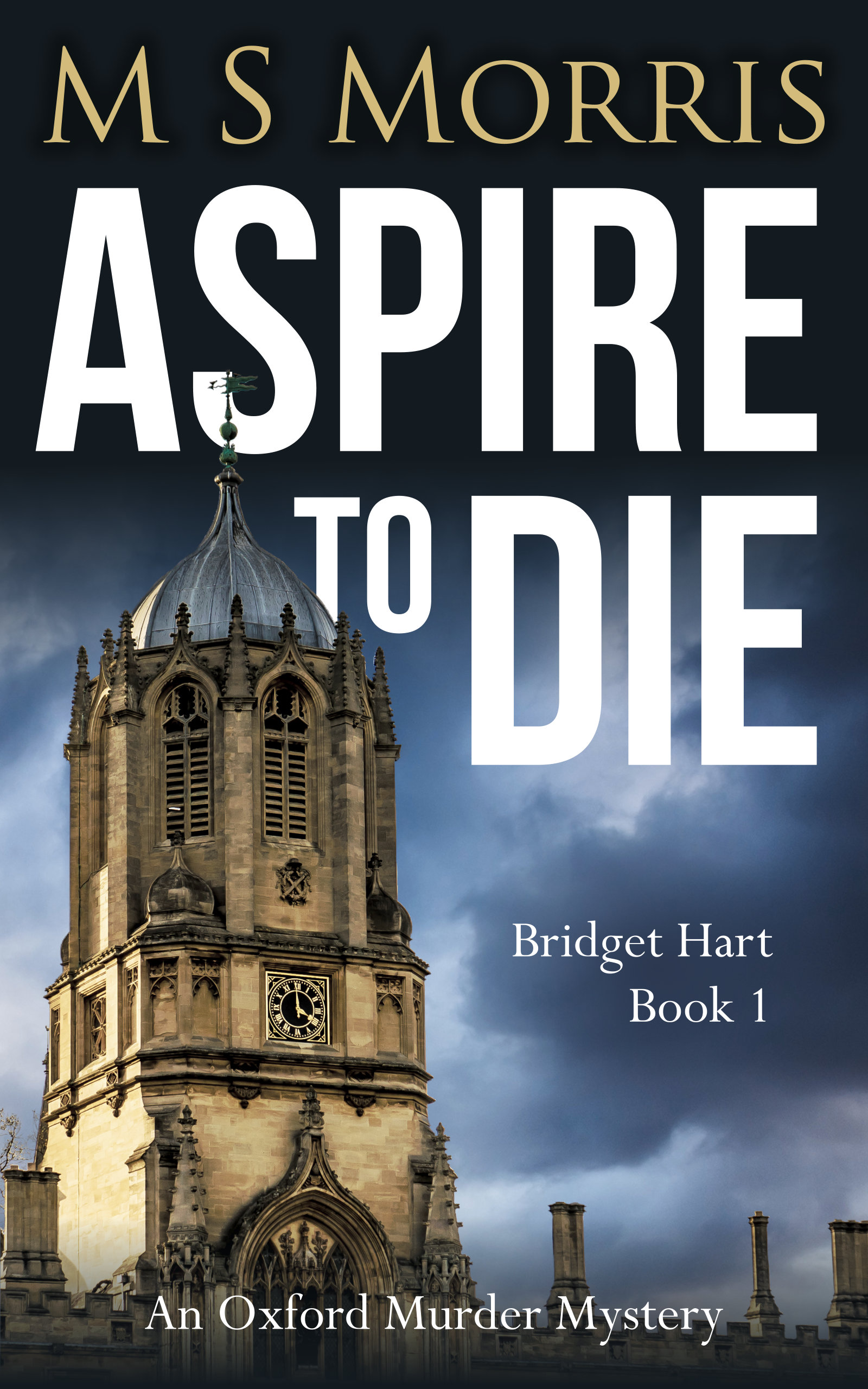 Aspire to Die (Bridget Hart #1)