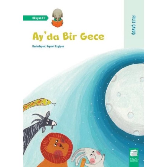 Ay'da Bir Gece (Paperback)