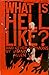 What Is Hell Like? and Other Sermons by Jimmy Allen