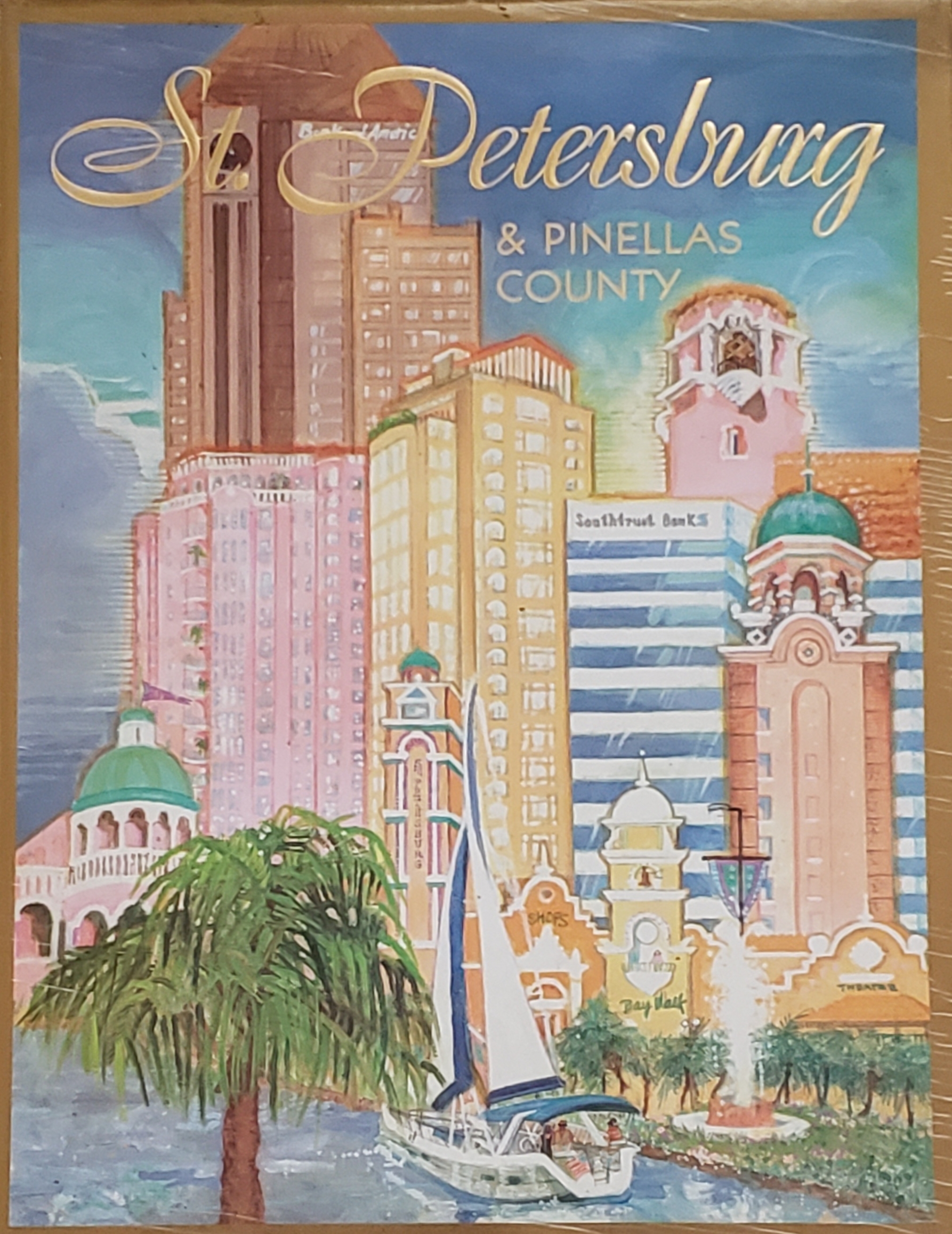 St. Petersburg & Pinellas County (The Gulf Coast Jewel on Tampa Bay)