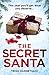 The Secret Santa by Trish Harnetiaux