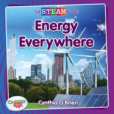 Energy Everywhere (Hardcover)