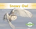 Snowy Owl
