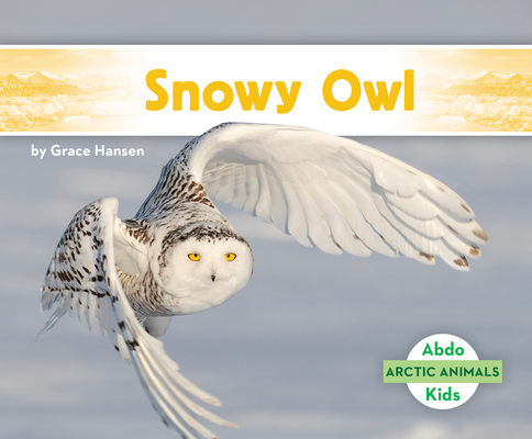 Snowy Owl (Hardcover)