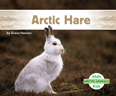 Arctic Hare (Hardcover)