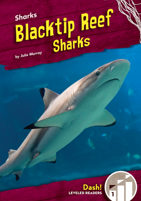 Blacktip Reef Sharks (Hardcover)